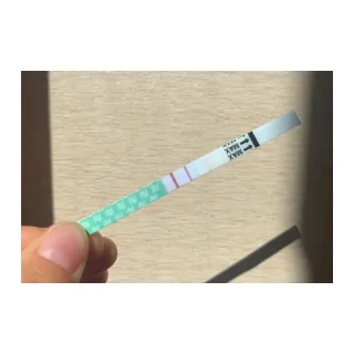 Pregnancy Test Strip